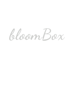 BEST DIGITAL MARKETING AGENCY IN CALICUT